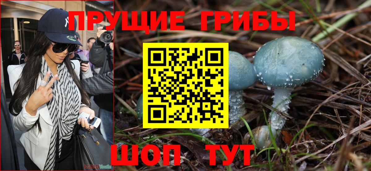 Галлюциногенные грибы Psilocybine cubensis Отрадный