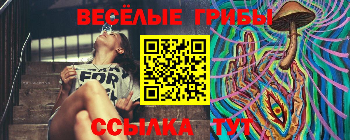 Галлюциногенные грибы мицелий  Галлюциногенные грибы мухоморы  Отрадный  Вход с VPN 